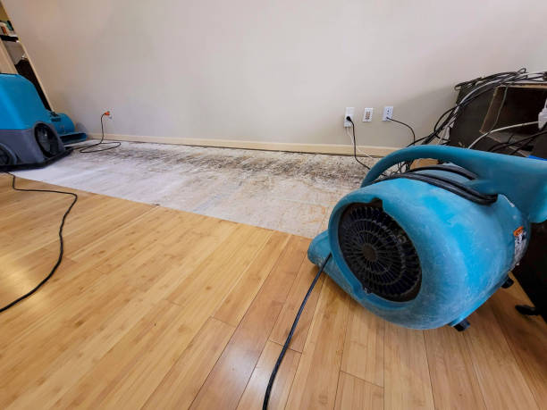 Professional Structural Drying technician working in Lakeville, MN